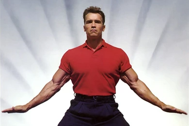 Arnold Schwarzenegger Arnold Schwarzenegger Hd Photo – Wallpapers