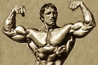 Kane Blog Picz: Arnold Schwarzenegger Wallpapers 1280
