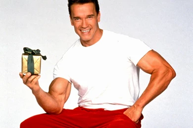 Arnold Schwarzenegger desktop wallpaper pics.jpg