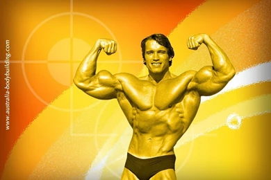 Arnold Schwarzenegger Wallpapers   Wallpapers Cave