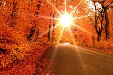 55+ Most Trendy Pretty Wallpapers HD   Over The Top Mag