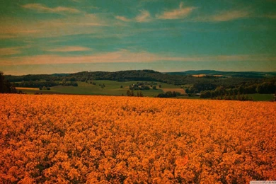 Vintage Desktop Wallpapers Vintage desktop wallpaper Desktop wallpapers vintage Vintage Wallpapers 29.jpg