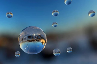 Macro Wallpapers For Mobile Phone   Wallpapers Toplist