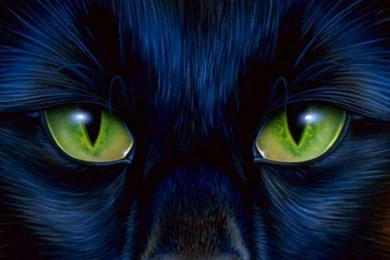 Cool desktop wallpapers