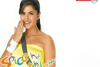 Spice Mobile Wallpapers Picture Image 1024x768 13664