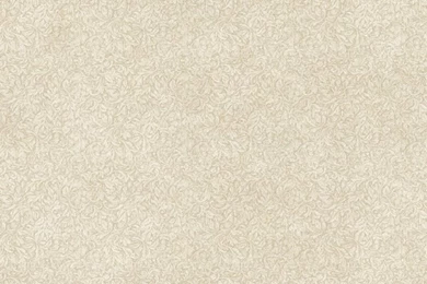 Tulsa Taupe Busy Toss Wallpapers   Contemporary   Wallpapers ...