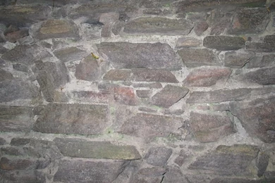 Cartoon Castle Wall Images