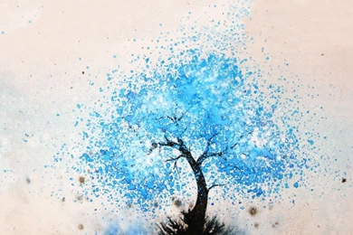 SCIT, MBA In Pune, Symbiosis, SIU, MBA Placement, SCIT Placement ...