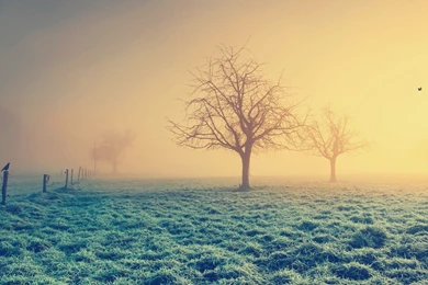 Life Is Good So, Here, Have Some Of My Fav Wallpapers.   Album On ...