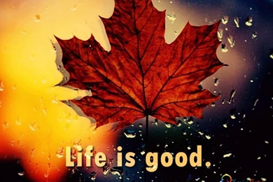 Short Inspirational Happy Quotes About Life