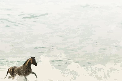 The Word 'cartoon: Free Horse Website Backgrounds