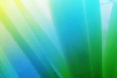 Bright color background wallpaper_1920x1200_87466