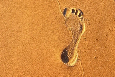 Fonds D'écran Foot   Page 4