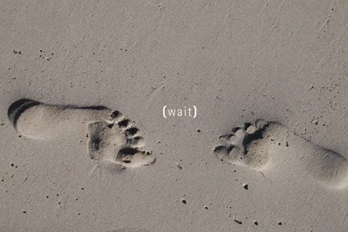 Foot Sand Beach Wallpapers HD