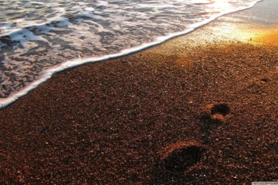 Foot Prints On The Sand   (