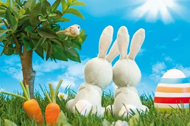 Cartoon Hd Wallpapers   HD Wallpapers Pretty