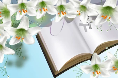 Christian Wallpapers 1440x Jpg 244078