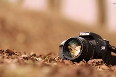 Canon Camera Wallpapers   Photography Wallpapers