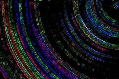 Fractal Backgrounds Wallpapers