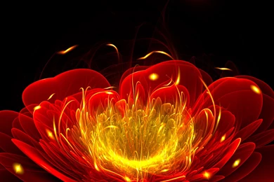 1190 Fractal HD Wallpapers