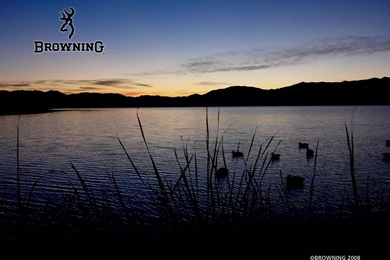 Browning Logo Wallpapers   17891