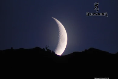 Browning Logo Wallpapers   17891