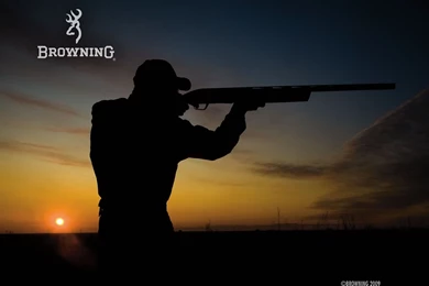 Danielle Campbell StarStruck Dress   Wallpaper.