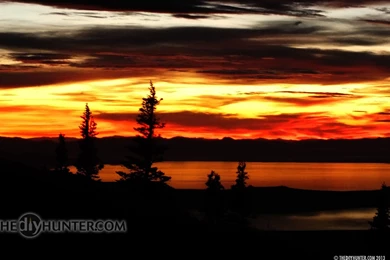 The DIY Hunter   2012   Computer Desktop Wallpapers Hunting Photos