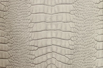 Crocodile Print Wallpaper: [Bestume]