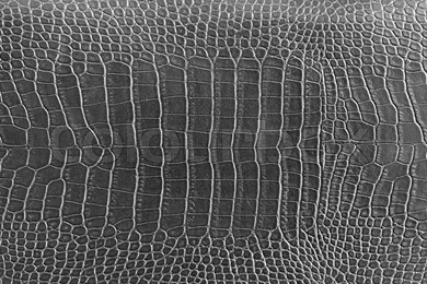 Black Crocodile Skin Texture As A Wallpapers