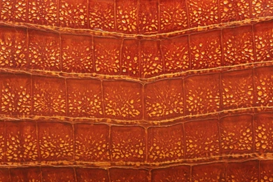 Wallpapers: Wallpapers Textured