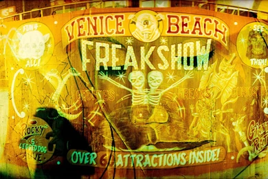 Freak Show Wallpapers And Images   Wallpapers, Pictures, Photos