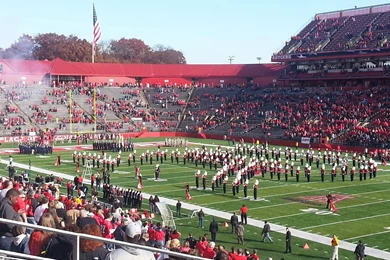 Nebraska, The Book Thief, Tennessee Williams' Play 'The Mutilated ...