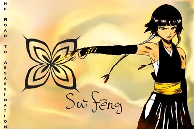 Soi Fon Wallpapers 2 By Yoruichi228 On DeviantArt