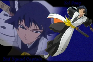 Soifon   Soifon Wallpapers (25526480)   Fanpop