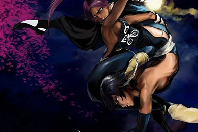 Soifon & Yoruichi Computer Wallpapers, Desktop Backgrounds ...