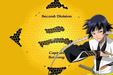 Soifon   Soifon Wallpapers (8921340)   Fanpop