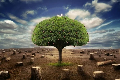 Cool Wallpapers 3d Widescreen.