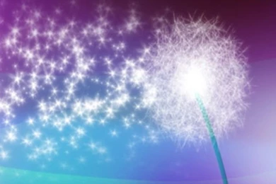 Animated Dandelion iPhone Wallpapers Download   640x1136   103855