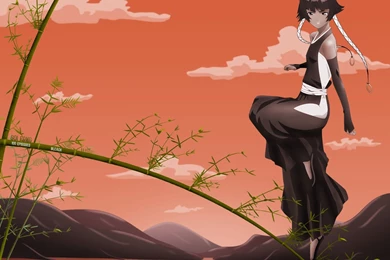 Bleach Soifon Wallpapers   (