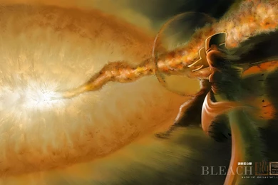 Soi Fon   Bleach Anime Wallpapers (33271443)   Fanpop