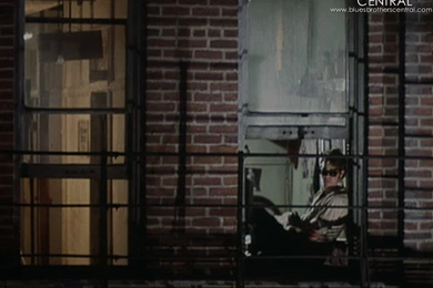 The Blues Brothers   Cult Films Wallpapers (850623)   Fanpop