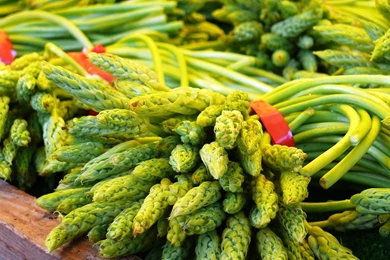 Vegetable Wallpapers >> Backgrounds With Quality HD