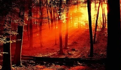 Top 10 Nature & Landscap Wallpapers