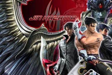 Jin Kazama Tekken 6 BR By Blood Huntress On DeviantArt