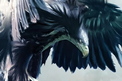 Hd Wallpapers App Iphone 4   ... Saw, I Learned, I Share ...: 20 ...