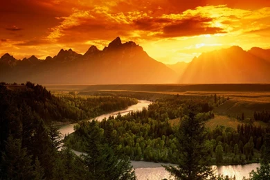 Free Nature Wallpapers