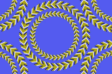 Amazing Moving Wallpapers