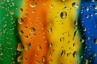 Rain Drops Wallpapers, Images, Photos, Pictures & Pics