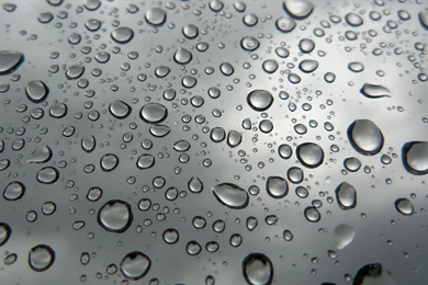 Rain Drops HD Desktop Wallpapers 7956   HD Wallpapers Site